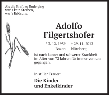 Traueranzeige von Adolfo Filgertshofer von Pegnitz-Zeitung
